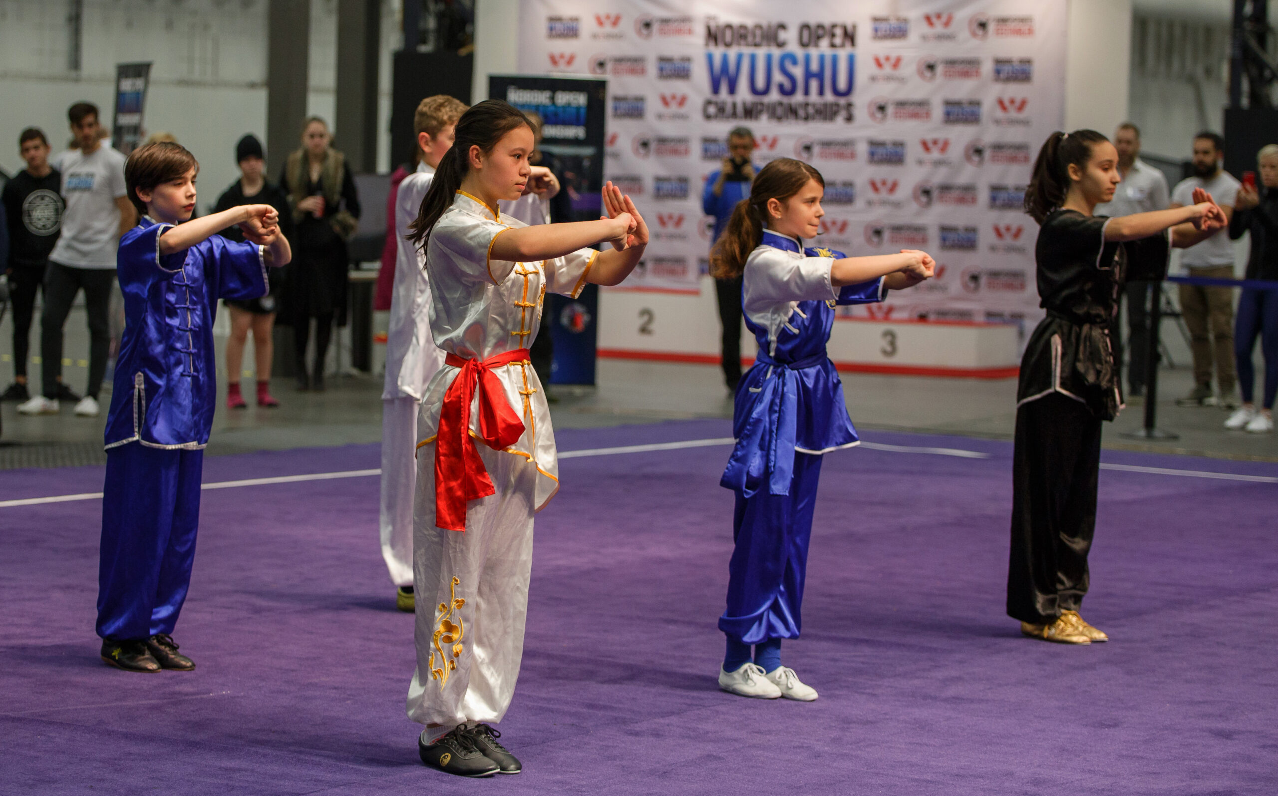 Nordic open wushu championships Nordic Open Wushu Championships